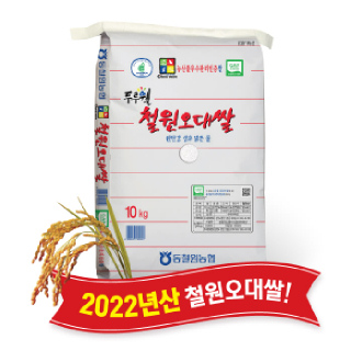 동철원농협 두루웰 철원오대쌀 햅쌀 10kg, 2022년산