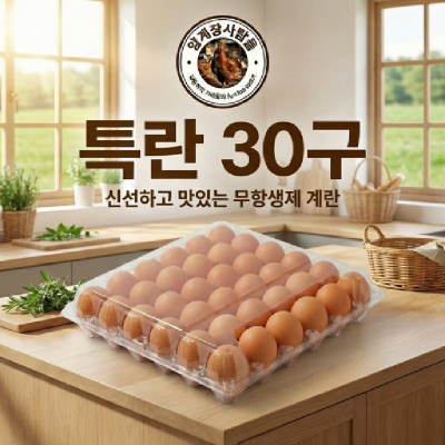 [농협몰] 무항생제 신선한 특란 30구 (9,900원/무료)