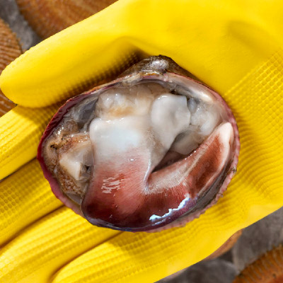 국내산 특품 손질 새조개 200g